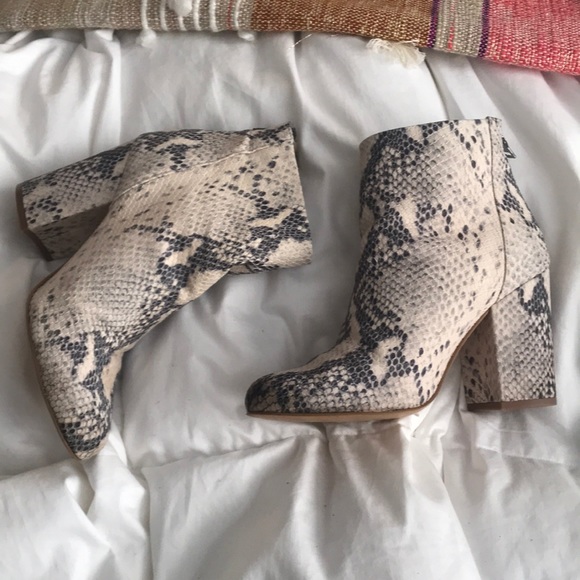 snake print booties steve madden
